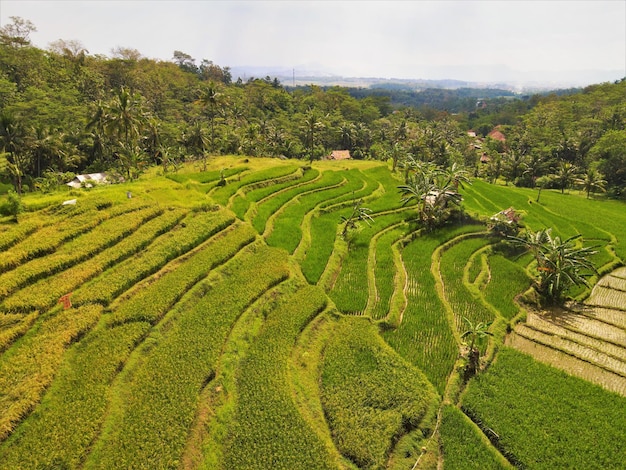Schöne Berglandschaft aus der Luft für den Hintergrund in Zentral-Java