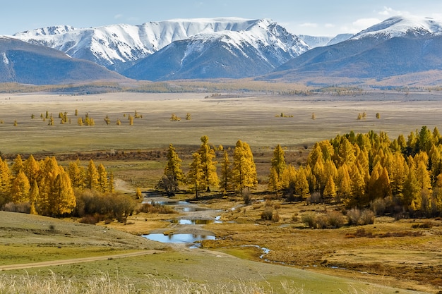 schöne Berglandschaft der Altai-Gebirgsrepublik, Spätherbst, Russland.