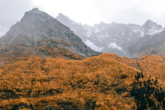 Schöne Berglandschaft Herbst Dombai KarachayCherkessia