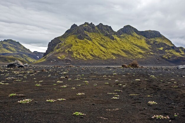 Schöne Berglandschaft in Island