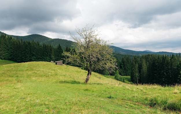 Schöne Berglandschaft mit einer Wiese und einer Holzscheune in den Bergen