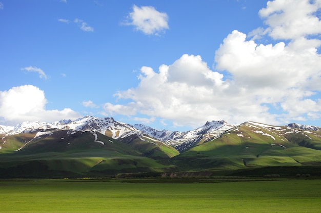 Schöne Berglandschaft. Tierwelt Kirgisistan. Wolken im Himmel.