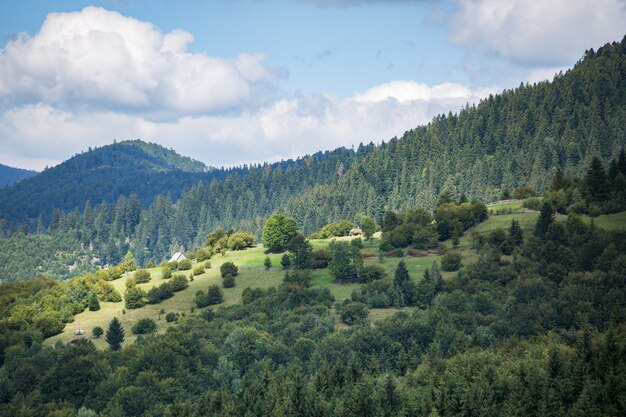 Schöne Berglandschaft und Hang von der Sonne beleuchtet