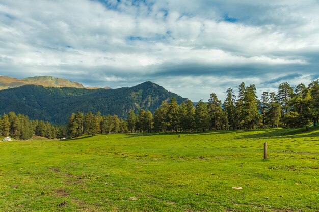 Schöne Berglandschaft, Wald und Wolken