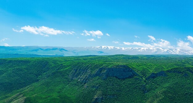 Schöne bewaldete Alpenlandschaft mit schneebedeckter Bergkette am Horizont