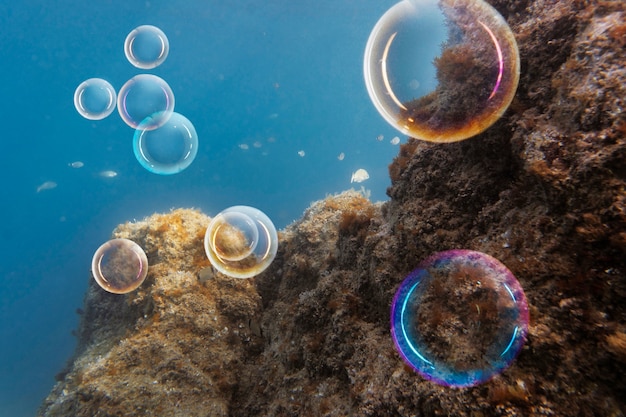 Foto schöne blase, die im äußeren schwimmt