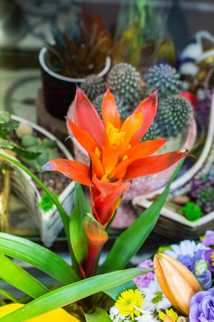 Schöne blühende Blumen zum Verkauf außerhalb des Blumenladens