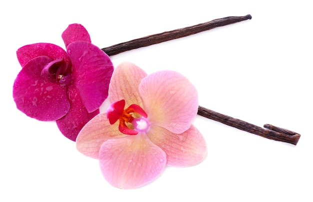 Schöne blühende Orchideenblumen und Vanillestangen lokalisiert auf Weiß