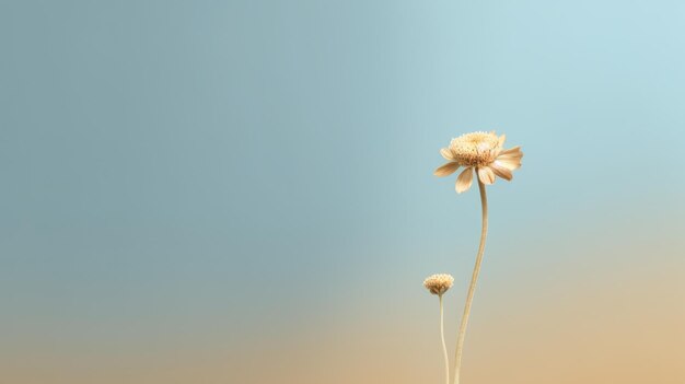 Schöne Blütenblume auf isoliertem Hintergrund. Malerisch