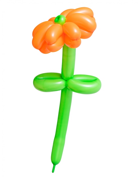 Schöne Blume von den Ballonen getrennt auf Weiß
