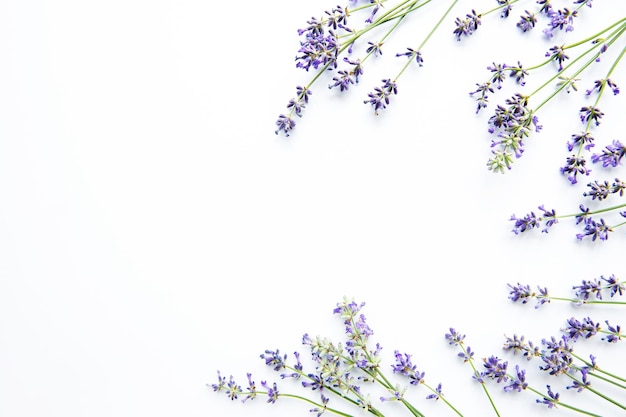 Schöne Blume