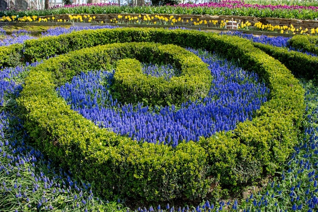 Schöne Blumen als Hintergrund