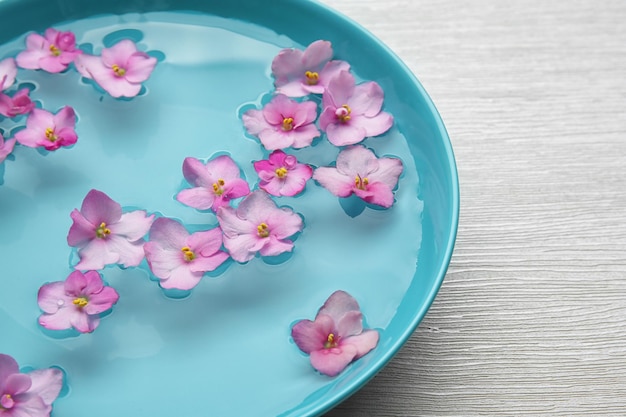 Schöne Blumen auf dem Wasser