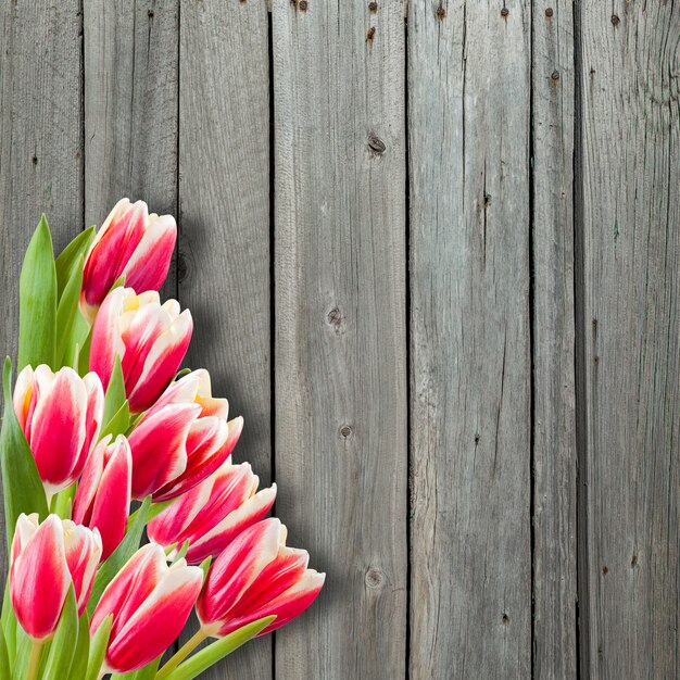 Schöne Blumen auf Holztisch, Draufsicht