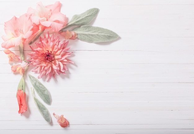 Schöne Blumen auf weißem hölzernem Hintergrund