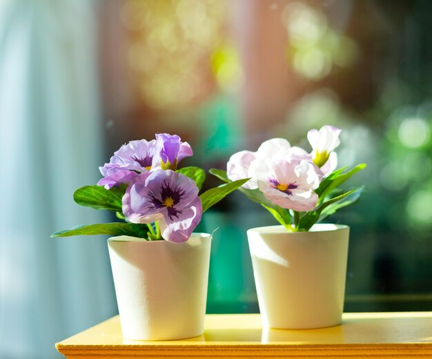 Schöne Blumen in einer Vase auf einem natürlichen Bokeh-Hintergrund