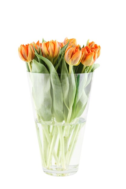 Schöne Blumen orange Tulpen. Viele Blumen hautnah