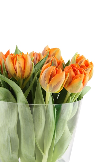 Schöne Blumen orange Tulpen. Viele Blumen hautnah