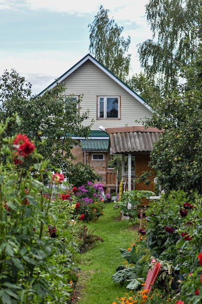 schöne Blumen wachsen im Sommergarten