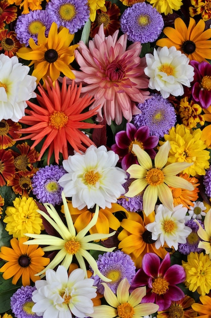 Schöne Blumendraufsicht. Verschiedene Gartenherbstblumen, die Ansicht von der Spitze.