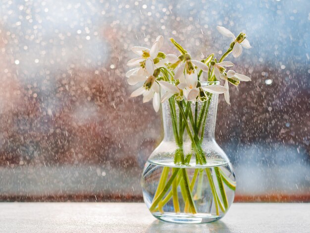 Schöne Blumensträuße aus Schneeglöckchen in Glas in den Strahlen der Frühlingssonne auf der Fensterbank