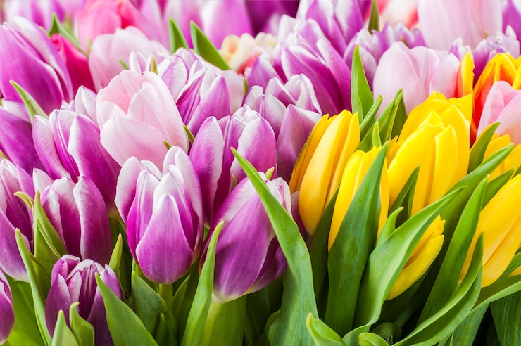 Foto schöne blumenstraußanordnung von tulpen