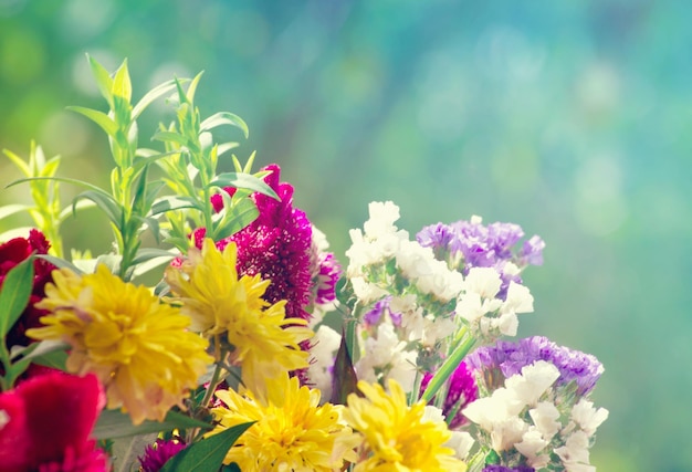 Schöne Blumenstraußblumen auf grünem Hintergrund