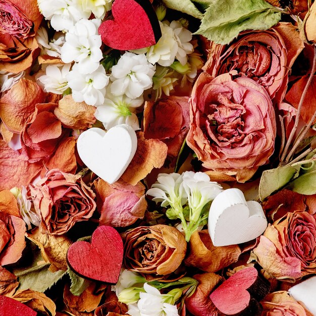 Schöne botanische Komposition für st. Valentinstag. Kreatives Layout mit trockenen Rosen, Blütenblättern, weißen Blumen, kleinen Herzen. Flache Lage, Nahaufnahme. Blumenliebehintergrund. Quadratisches Bild