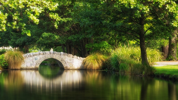 Foto schöne brücke im botanischen garten