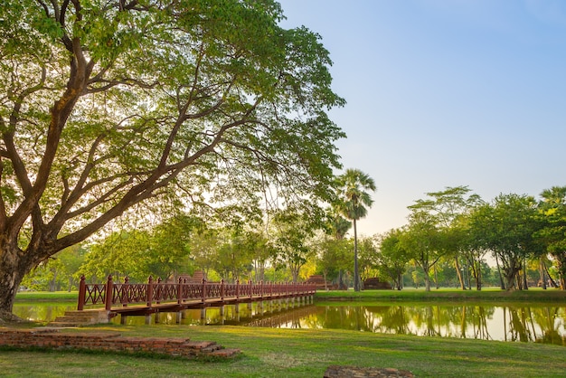 schöne Brücke und grüner Park