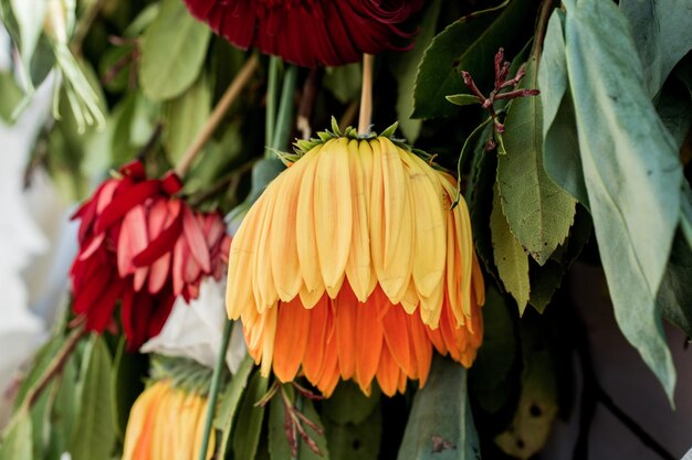 Schöne bunte natürliche Frühlingsblumen im Blick