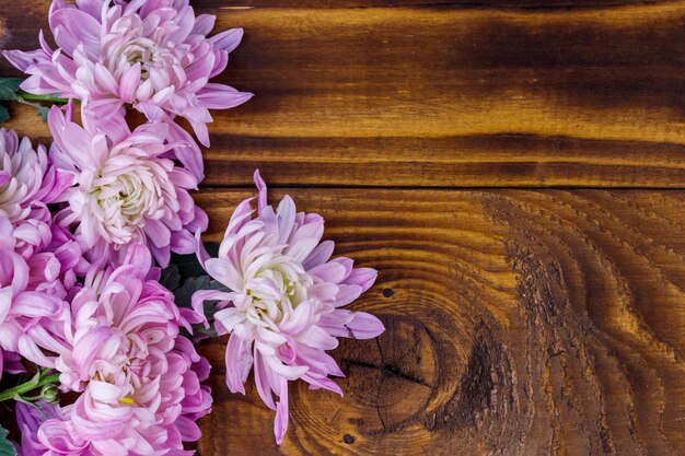 Schöne Chrysanthemen auf hölzernem Hintergrund Draufsicht-Kopienraum