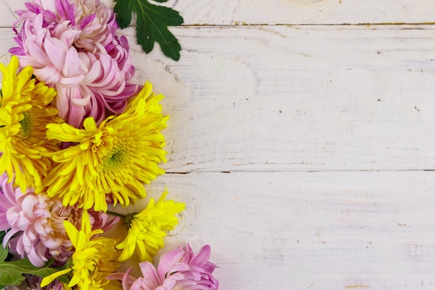 Schöne Chrysanthemen auf weißem hölzernem Hintergrund Draufsicht-Kopienraum