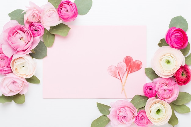 Schöne farbige Ranunkelblumen auf einem weißen Hintergrund. Valentinstag Grußkarte.