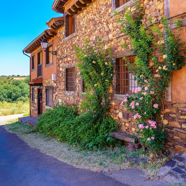 Schöne Fassade aus Steinhäusern mit bunten Pflanzen und Blumen am Eingang.