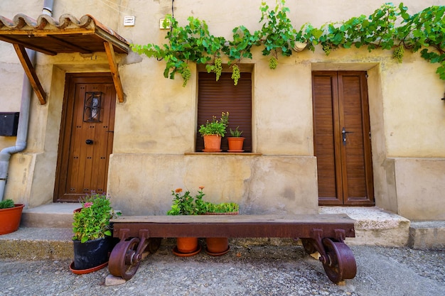 Schöne Fassade aus Steinhäusern mit einer Weinrebe mit Trauben, die an der Wand klettern, und einer Holzbank an der Tür