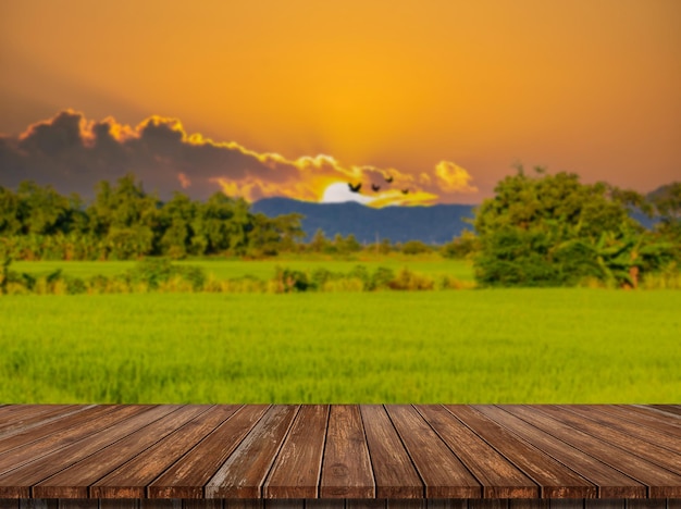 Schöne Felder mit Himmel und BergenxA