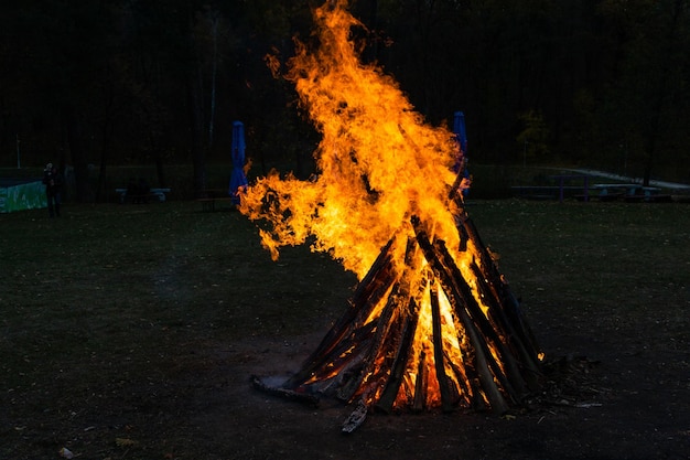 Schöne Feuerflammen an einem Lagerfeuer