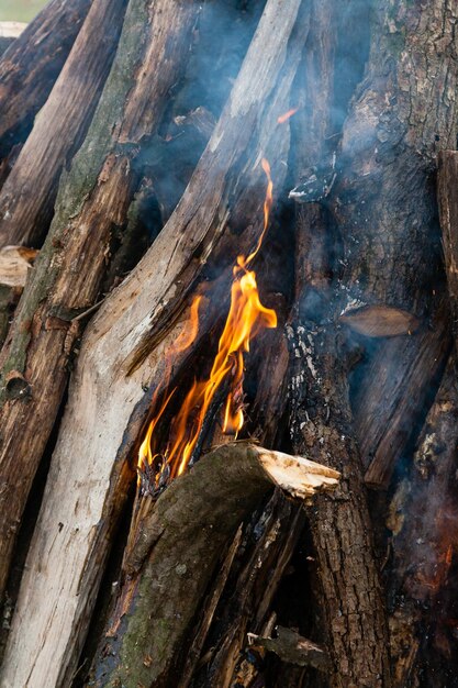 Schöne Feuerflammen an einem Lagerfeuer