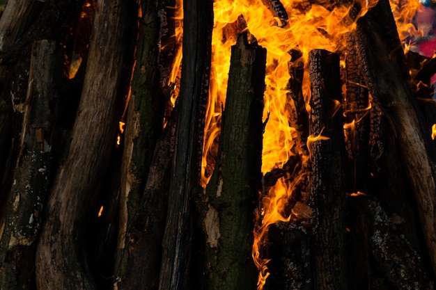 Schöne Feuerflammen an einem Lagerfeuer