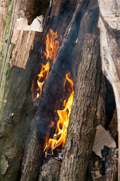 Foto schöne flammen eines lagerfeuers in der nahaufnahme