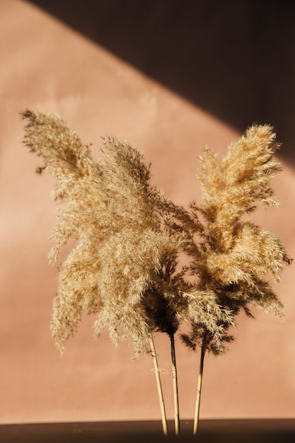 schöne flauschige Pflanzen natürliche Tapete