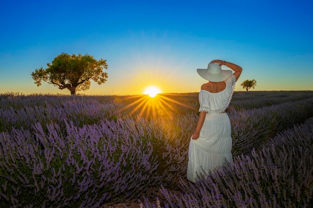 Schöne Frau im Lavendelfeld bei Sonnenuntergang