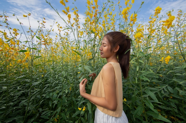 Schöne Frau mit einem Feld von Blumen Sunhemp