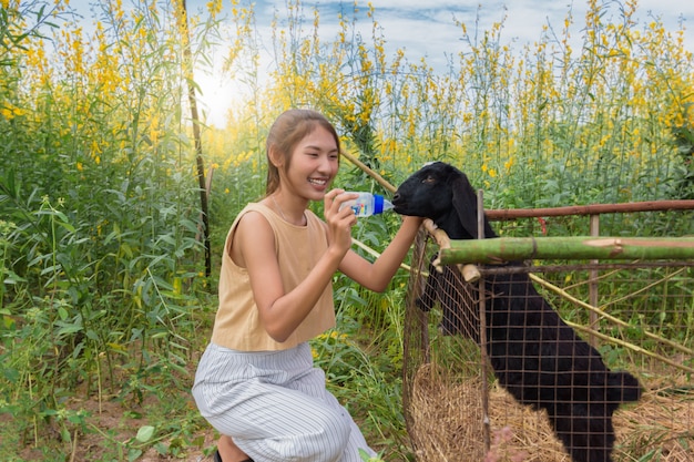 Schöne Frau mit einem Feld von Blumen Sunhemp