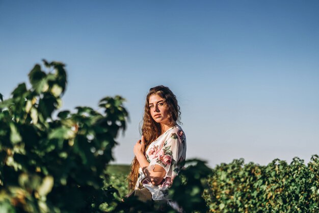 Schöne Frau mit langem lockigem Haar und Sommersprossengesicht auf Johannisbeerfeldhintergrund. Mädchen in einem hellen Kleid geht im sonnigen Sommertag