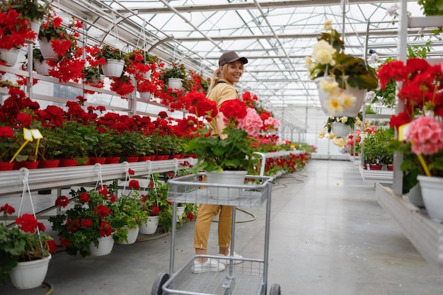 Schöne Frau mittleren Alters mit einem Karren trägt Blumen in einem Gewächshaus