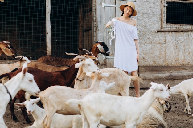 Schöne frau und weißes kleid und in einem beigen hut unter ziegen auf einer öko-farm