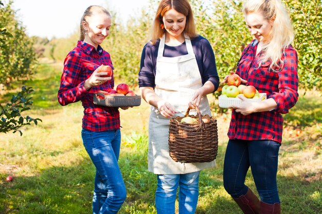 Schöne Frauen, die sich in einem grünen, sonnigen Apfelgarten unterhalten. Zwei junge Bäuerinnen teilen ihre Erfahrungen mit dem Anbau von Äpfeln. Bio-Gartenkonzept