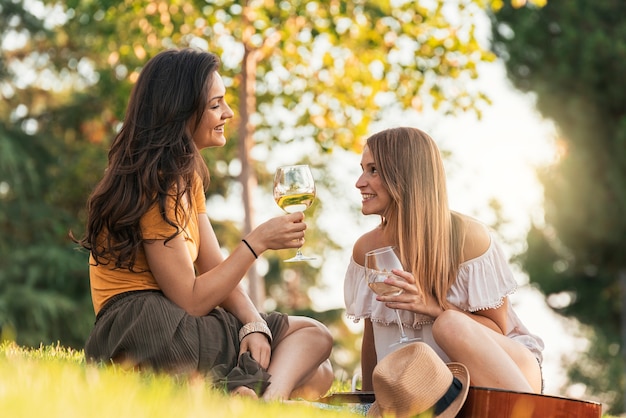 Schöne Frauen, die Wein im Park trinken. Freunde und Sommerkonzept.